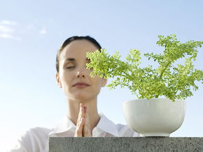 媒體曝光致明德產(chǎn)品創(chuàng)行業(yè)先河，引領(lǐng)中醫(yī)養(yǎng)生保健服務(wù)新潮流